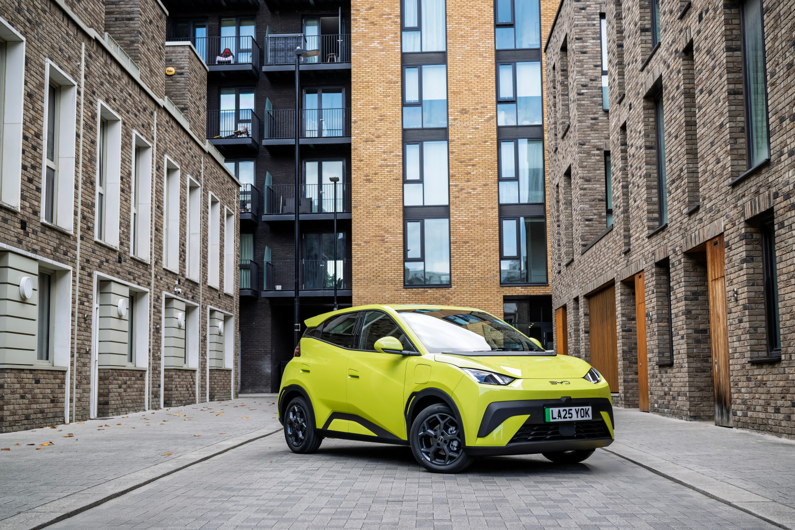 SMALL_BYD_Dolphin_Surf__162